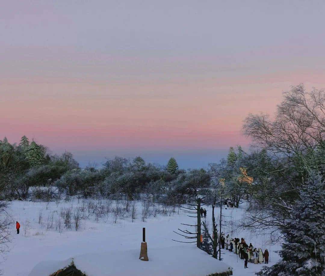 用800块过上理想生活、花50w“重启人生”，她们说这是今年花得最值的一笔钱！