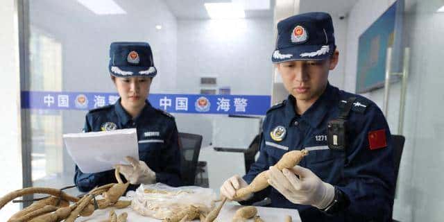 未经批准!珠海男子带锄头登无人岛,被抓后现场查获“牛大力”