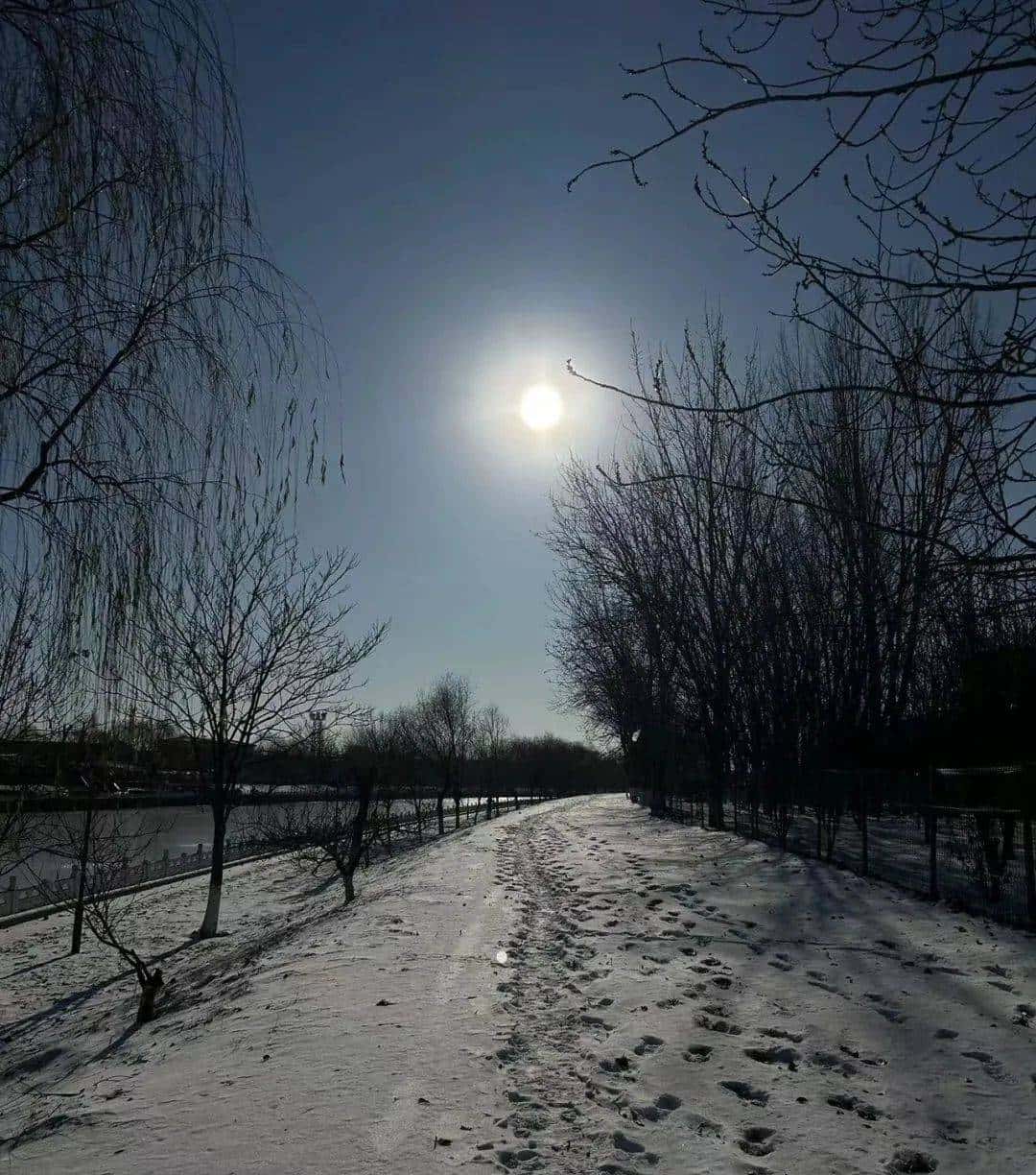 用800块过上理想生活、花50w“重启人生”，她们说这是今年花得最值的一笔钱！