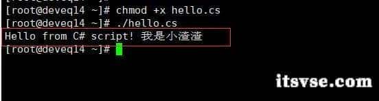 .NET 10 牛逼！Linux 以 Shebang 方式执行脚本