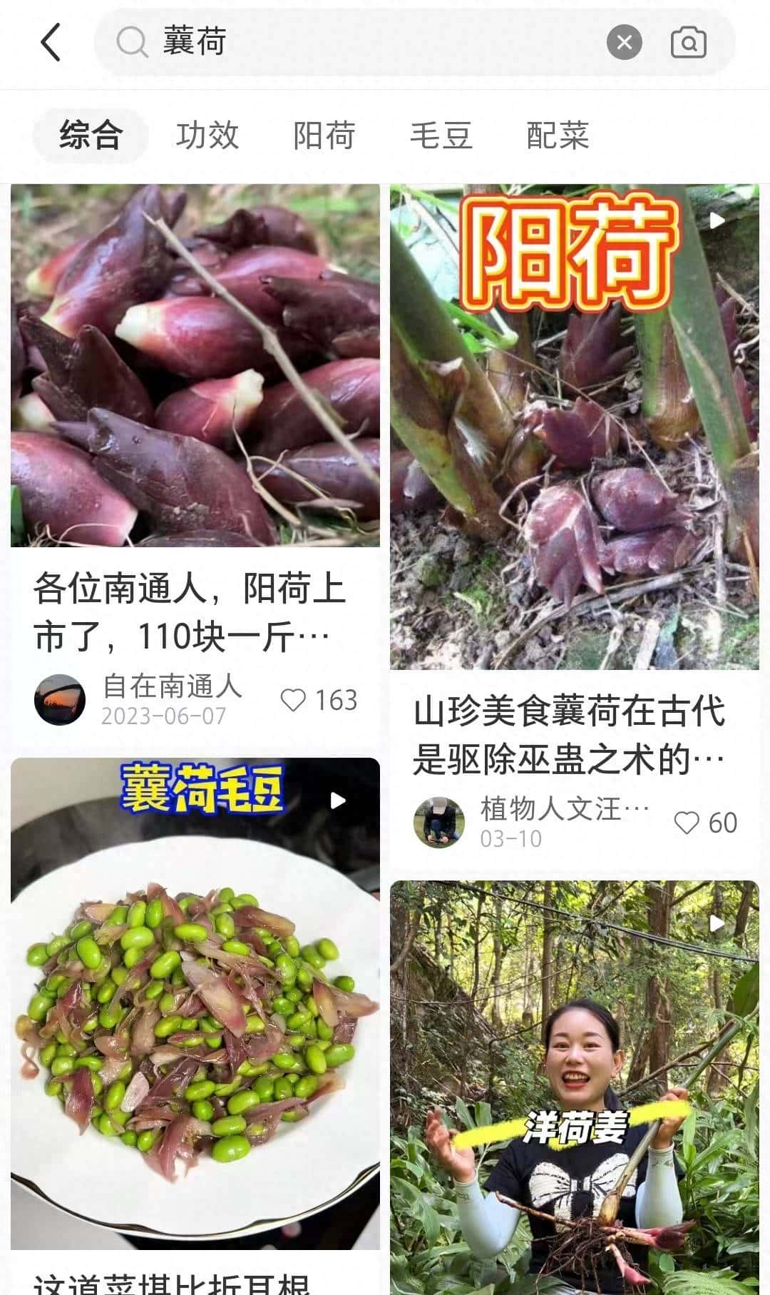 那些家乡的地标产品-下原蘘荷 - 宋马