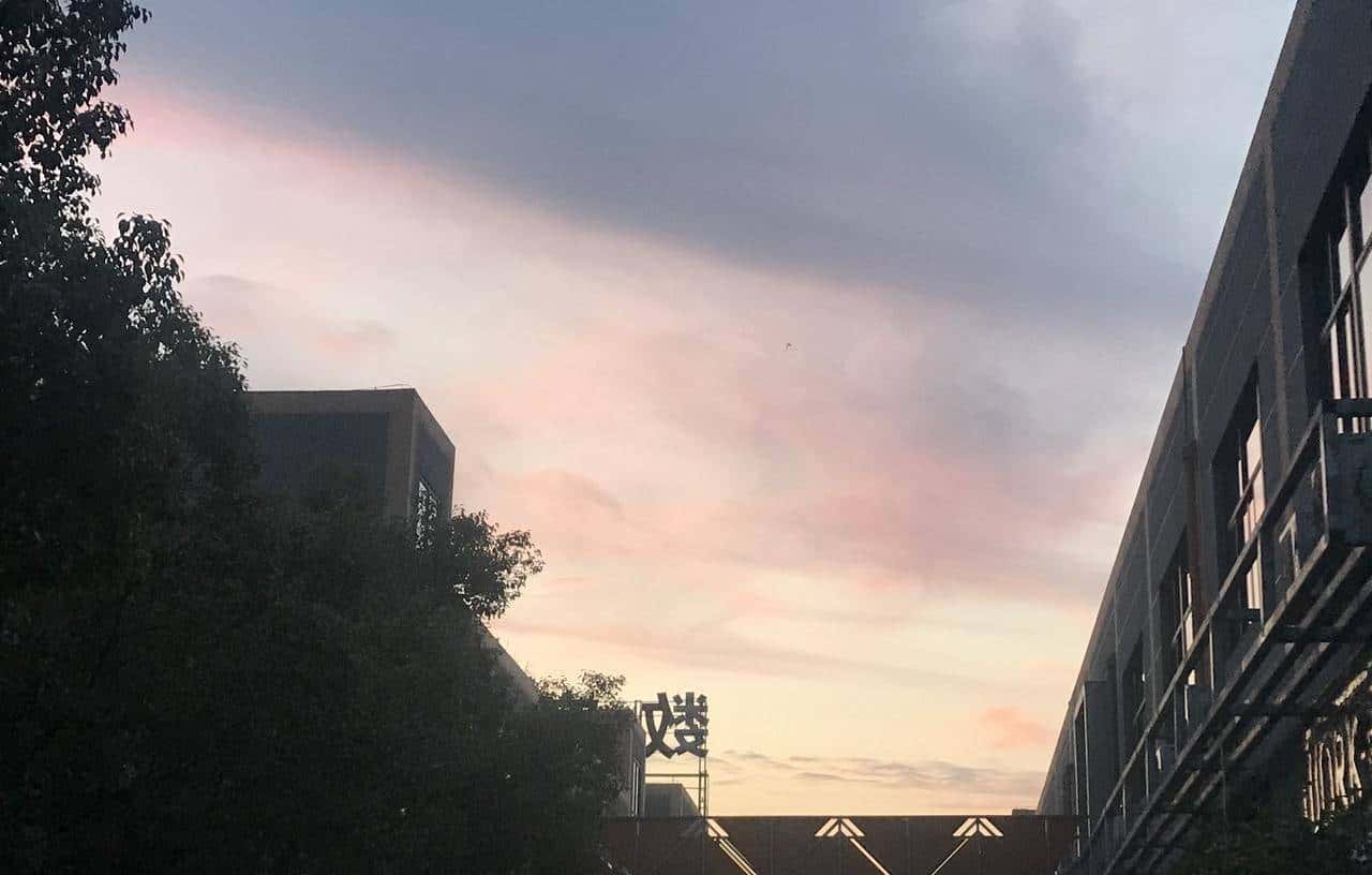 温州市平阳县姓氏支系资料汇编