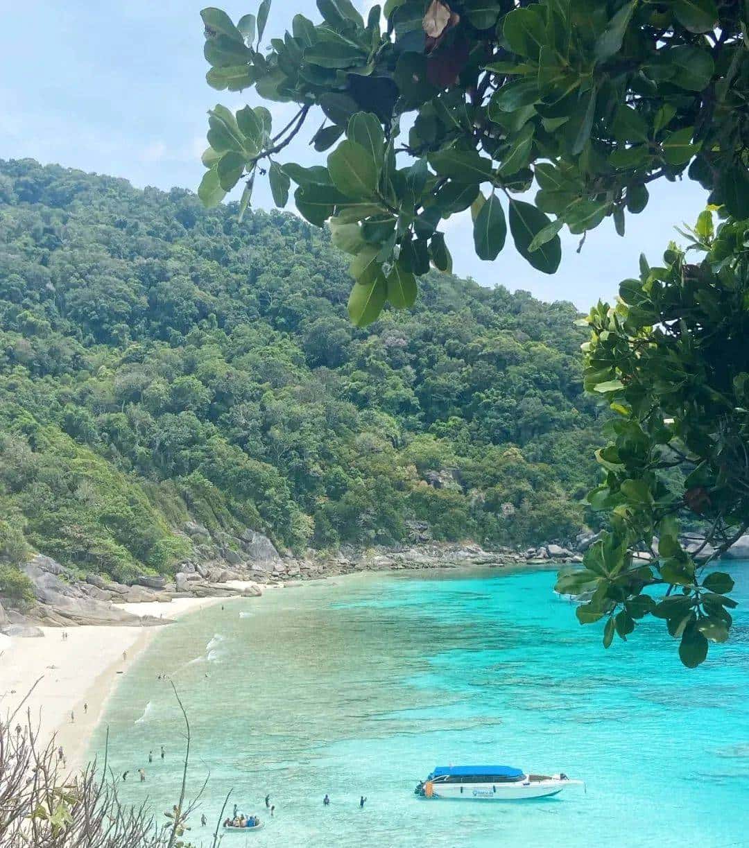 用800块过上理想生活、花50w“重启人生”，她们说这是今年花得最值的一笔钱！