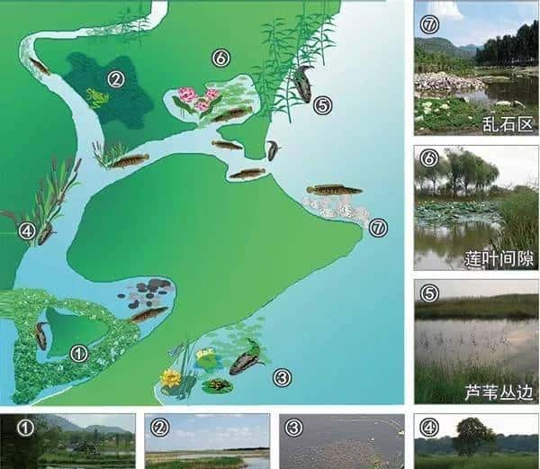 钓鱼秘笈：大师告知你路亚标点怎么选！