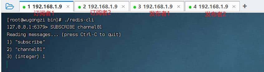 一文彻底读懂 Redis