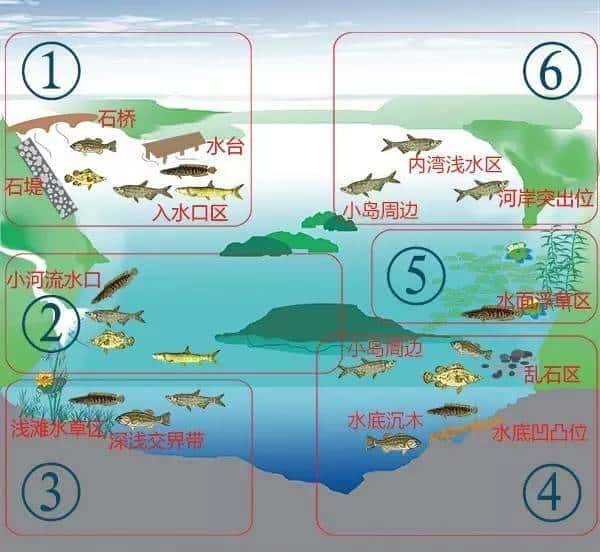 钓鱼秘笈：大师告诉你路亚标点怎么选！