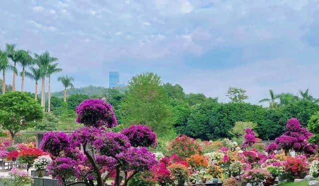 普通人的俩救命宝:钱扛生活烦,书解心里结