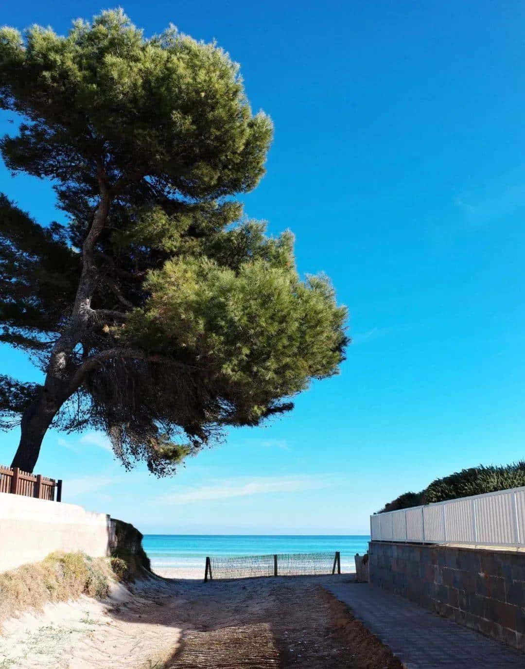 用800块过上理想生活、花50w“重启人生”，她们说这是今年花得最值的一笔钱！