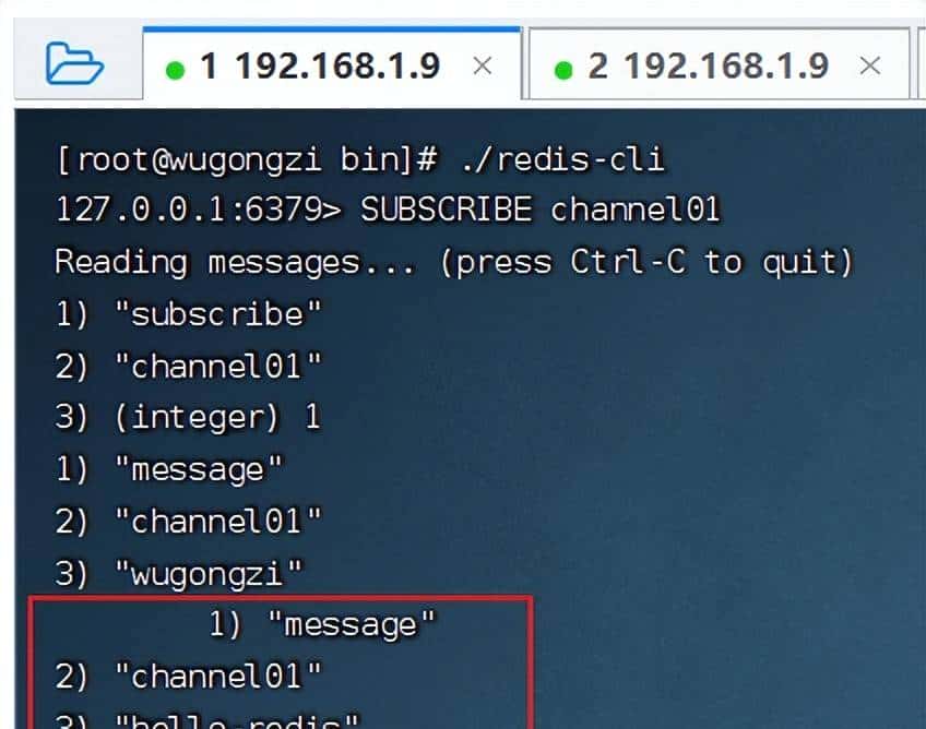 一文彻底读懂 Redis