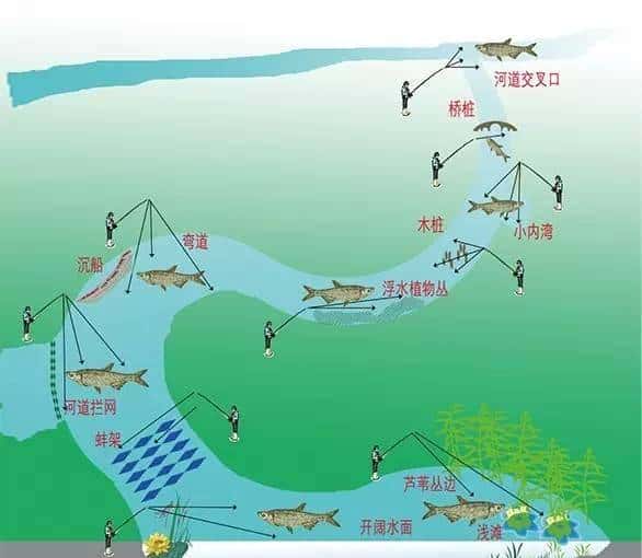钓鱼秘笈：大师告知你路亚标点怎么选！