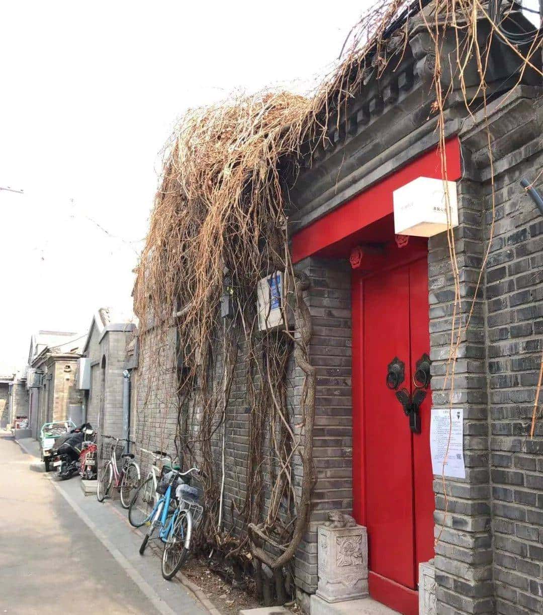 用800块过上理想生活、花50w“重启人生”，她们说这是今年花得最值的一笔钱！