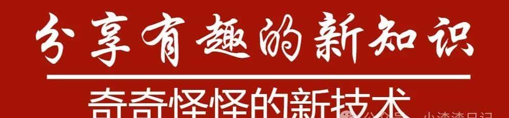 .NET 10 牛逼！Linux 以 Shebang 方式执行脚本