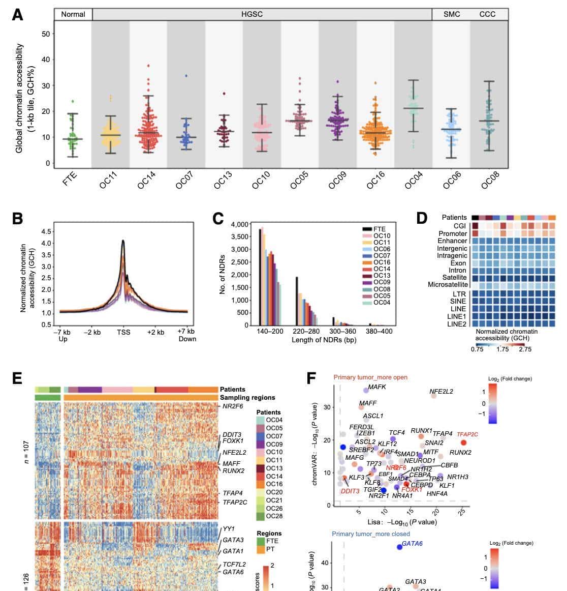 单细胞多组学揭示高浆卵巢癌的分子调控机制