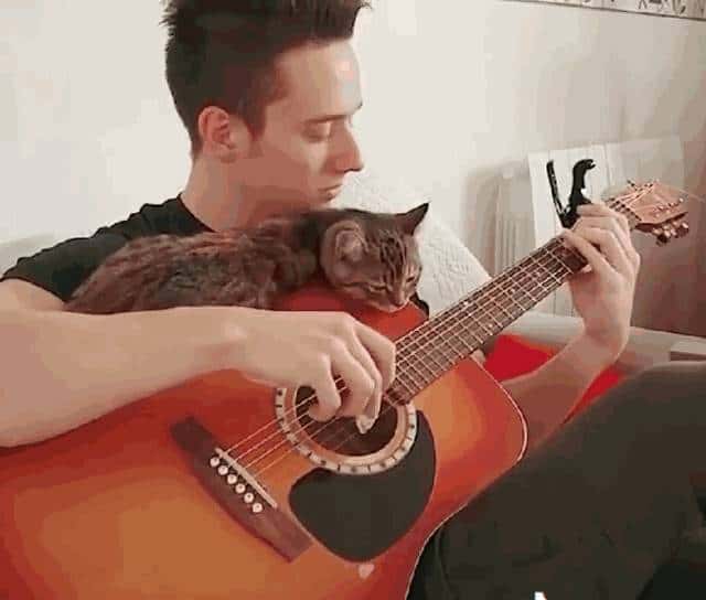 常刷短视频大脑会受损？后果可能比你想得严重。