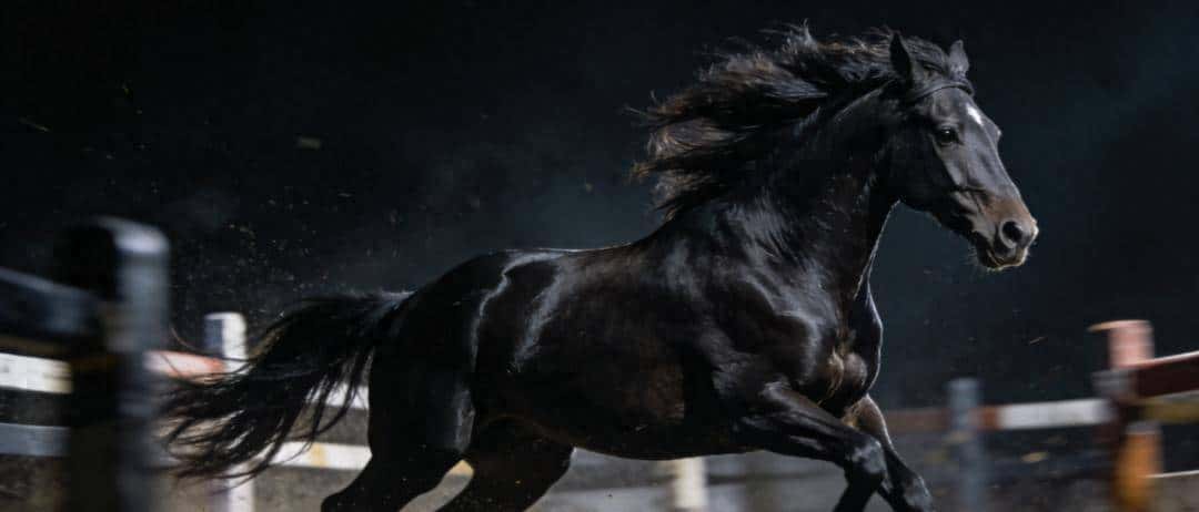 C# 或成“2025 年度编程语言”，「黑马」R 语言杀回前十！TIOBE 12 月榜单发布 - 宋马