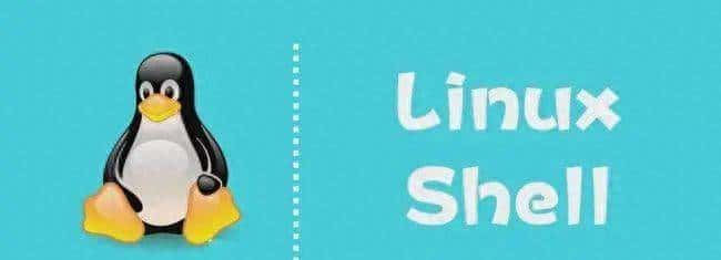 超实用！279个开箱即用的Shell脚本，代码清晰拿好了（附PDF）