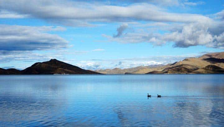 守候时光，这首小诗治愈了无数焦虑的人