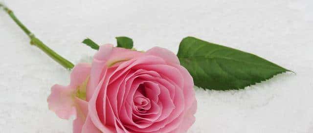 微信里最动人的告白，不是“我爱你”，而是她这样回复你