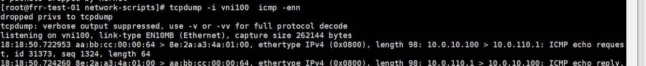 linux主机frrouting和华三CE6850建立BGP EVPN邻居并实现三层互通