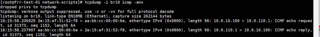 linux主机frrouting和华三CE6850建立BGP EVPN邻居并实现三层互通