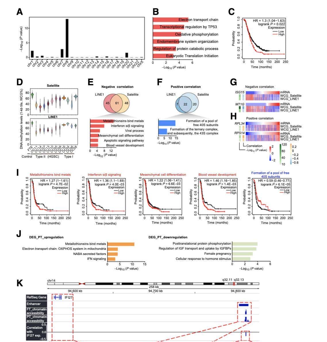 单细胞多组学揭示高浆卵巢癌的分子调控机制