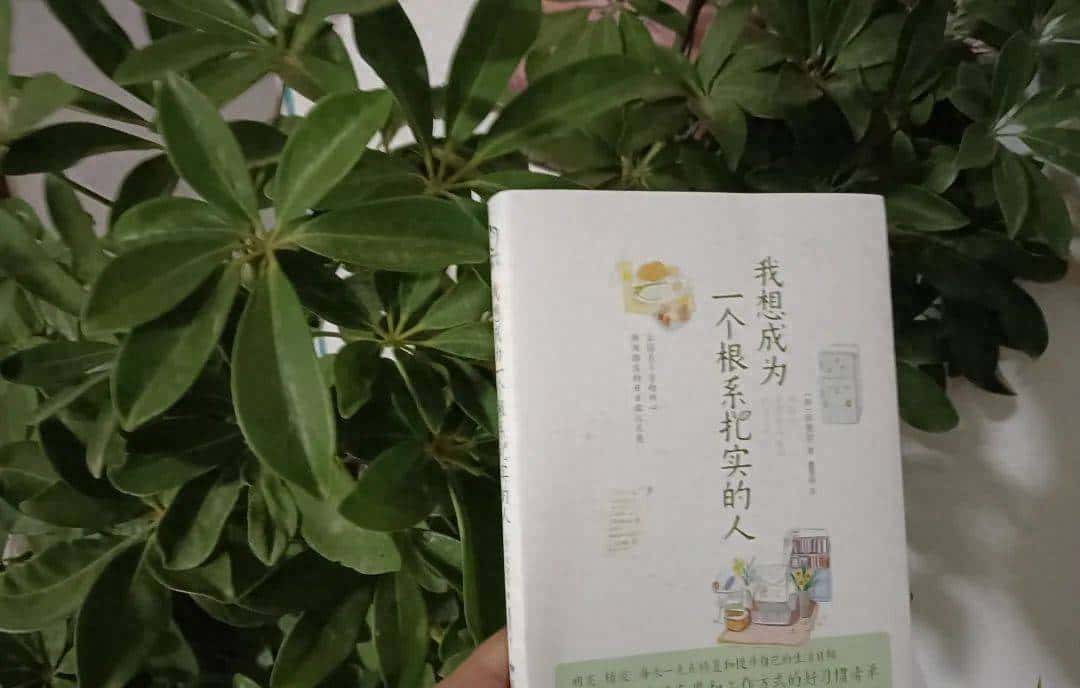 习惯清单和吃饭的仪式感