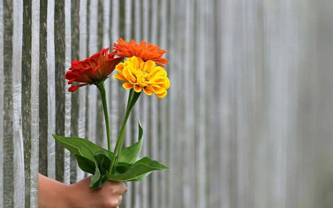 “朋友圈”才不是“friend circle”!正确的表达是