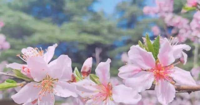 女人对你动情了，会有哪些细微动作？哪怕只触碰一个。她已难自控