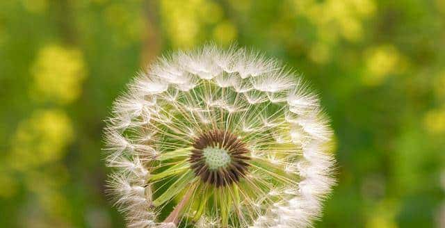 女人对你心动，会给你以下暗示