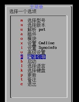 黑群晖RR引导DT机型，硬盘排序方法~