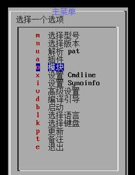 黑群晖RR引导DT机型，硬盘排序方法~