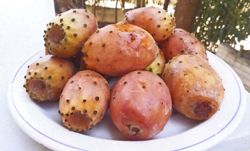 推荐一些富含维生素C的水果