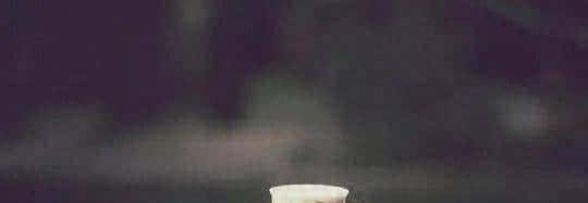 告诉你一个残忍的人际关系：你和任何人的关系，并非对别人有多好