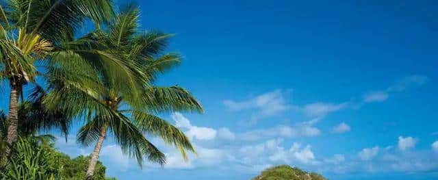 樱花落 第四十六章