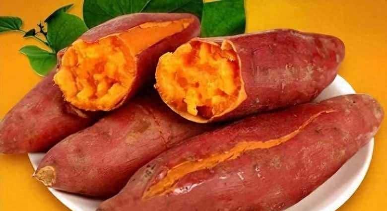 家乡的味道:挖红薯的快乐时光,甜蜜在心头 - 宋马