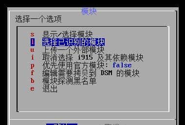 黑群晖RR引导DT机型，硬盘排序方法~
