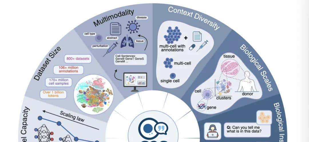 谷歌放大招！270亿参数生物大模型，AI揭示癌症疗法，震撼科学界
