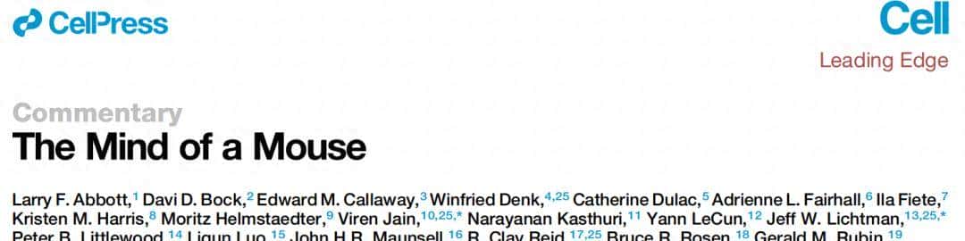 Cell：窥探大脑的奥秘——全脑连接图谱 - 宋马
