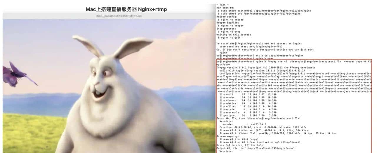 Mac搭建Nginx流媒体服务器，进行推流，拉流