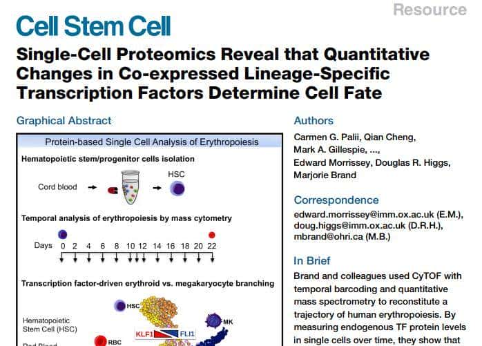 向左走向右走：造血干细胞的命运由它抉择