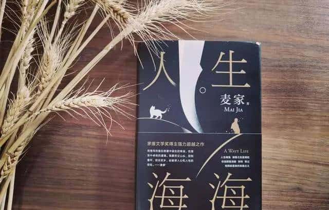 《人生海海》–是人们亲手挖的苦海，活一天挖一天，挖到人生的尽头……