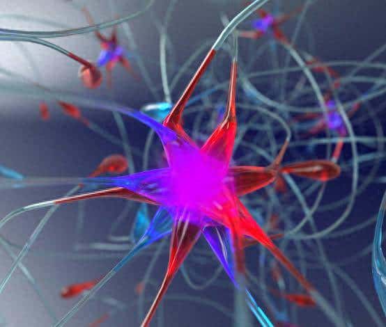 生物网络|集智百科 - 宋马