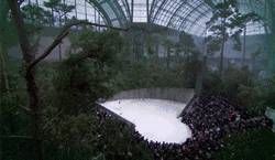 Chanel Fairyland｜只有你想不到的，没有它造不来的～