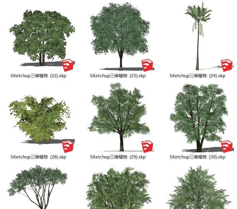 不去用模型树，你根本不知道它有多“香”？