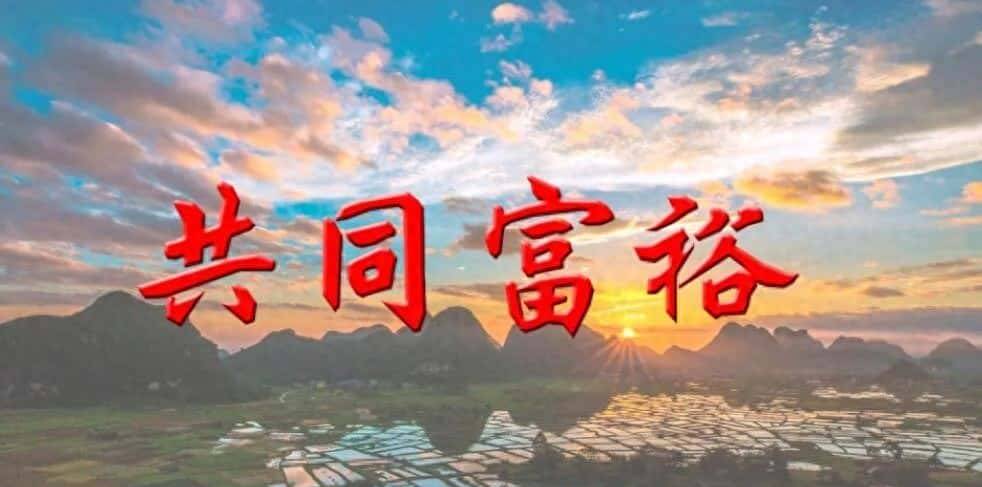 张建刚丨实现共同富裕的路径辨析：生产还是分配 - 宋马