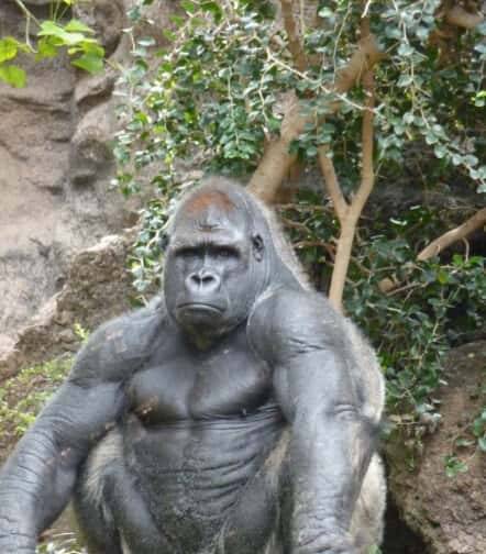 Unity中Socket网络编程 - 宋马