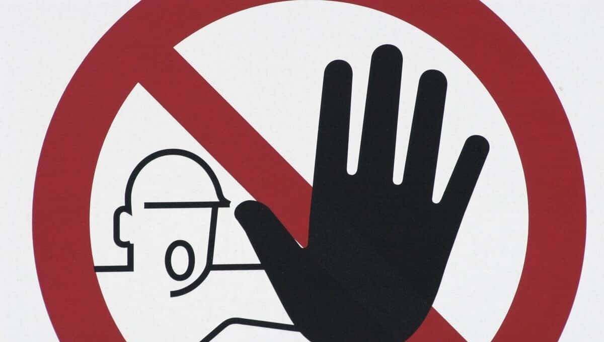 每天记一个单词（第3445）heed - 宋马