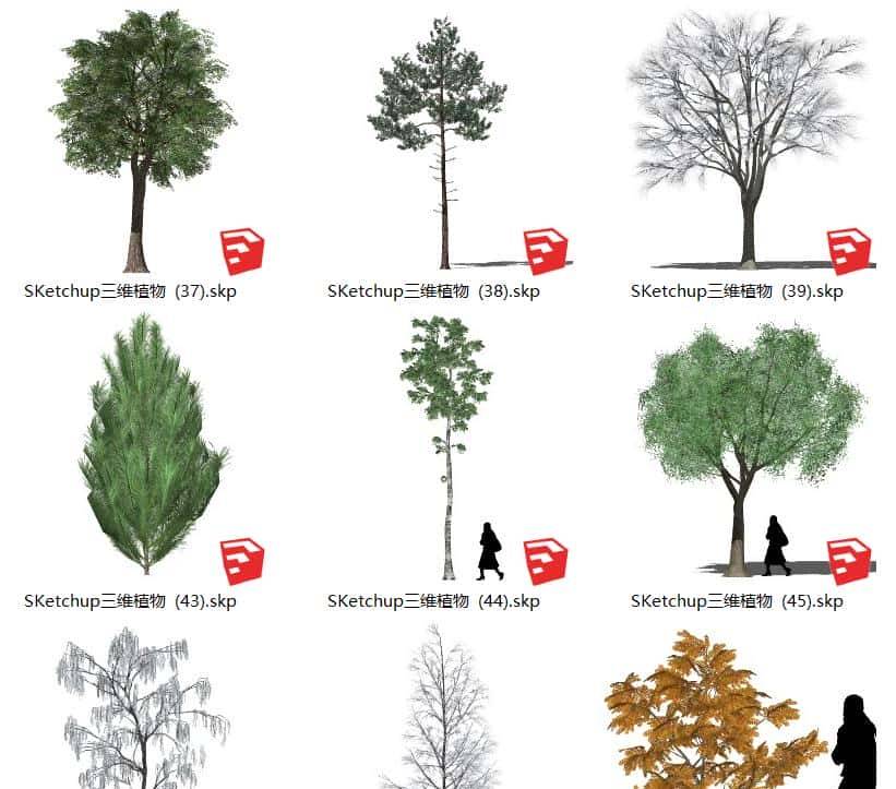 不去用模型树，你根本不知道它有多“香”？