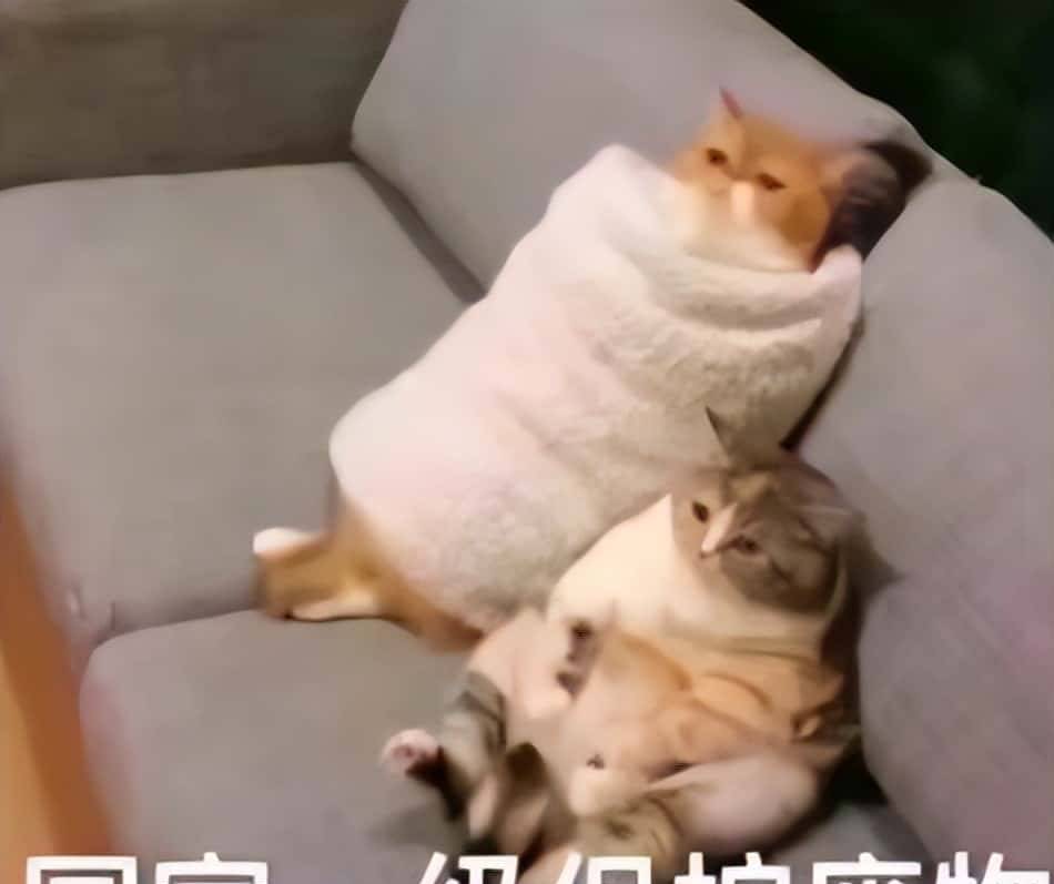 如何实现前端单页面应用(SPA) - 宋马