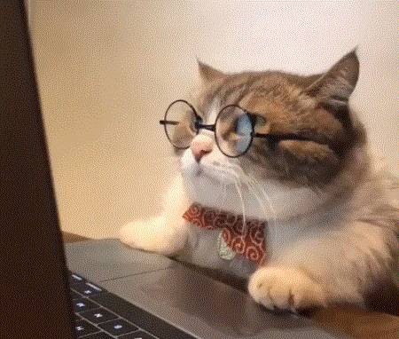 眼镜才是本体——哪些眼镜最有性价比，配镜实用攻略